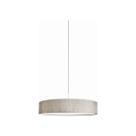 8947  TURDA GRAY IV zwis