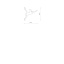 11795   ACROBAT WHITE